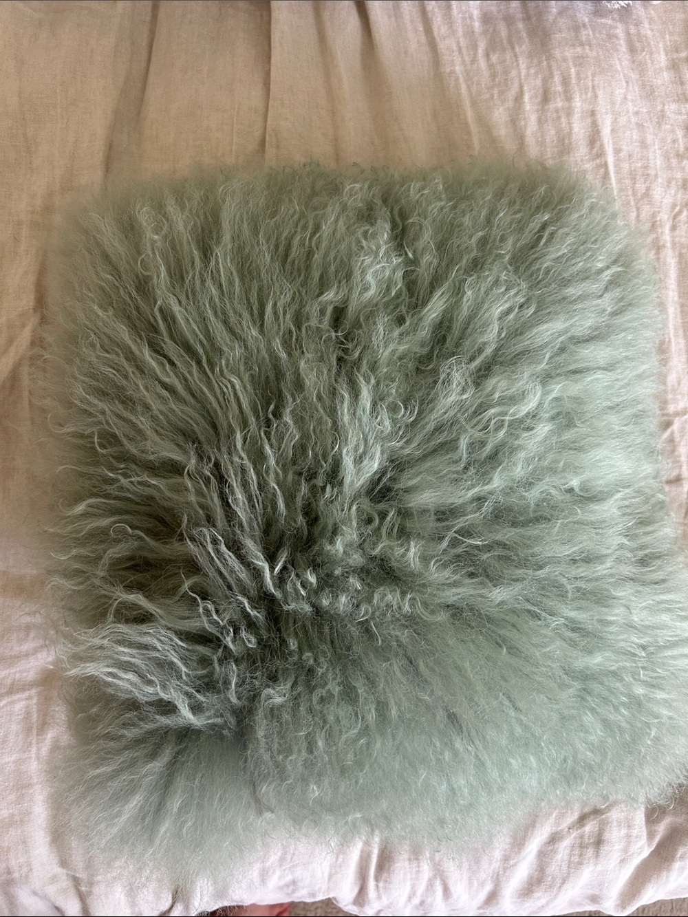 West Elm Mongolian Lamb Fur Pillow Cover | Sage Green / Pearl Gray | Genuine Lam
